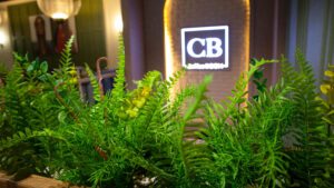 Озеленение кафе: комплексное решение