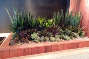 Суккуленты и искусственные растения