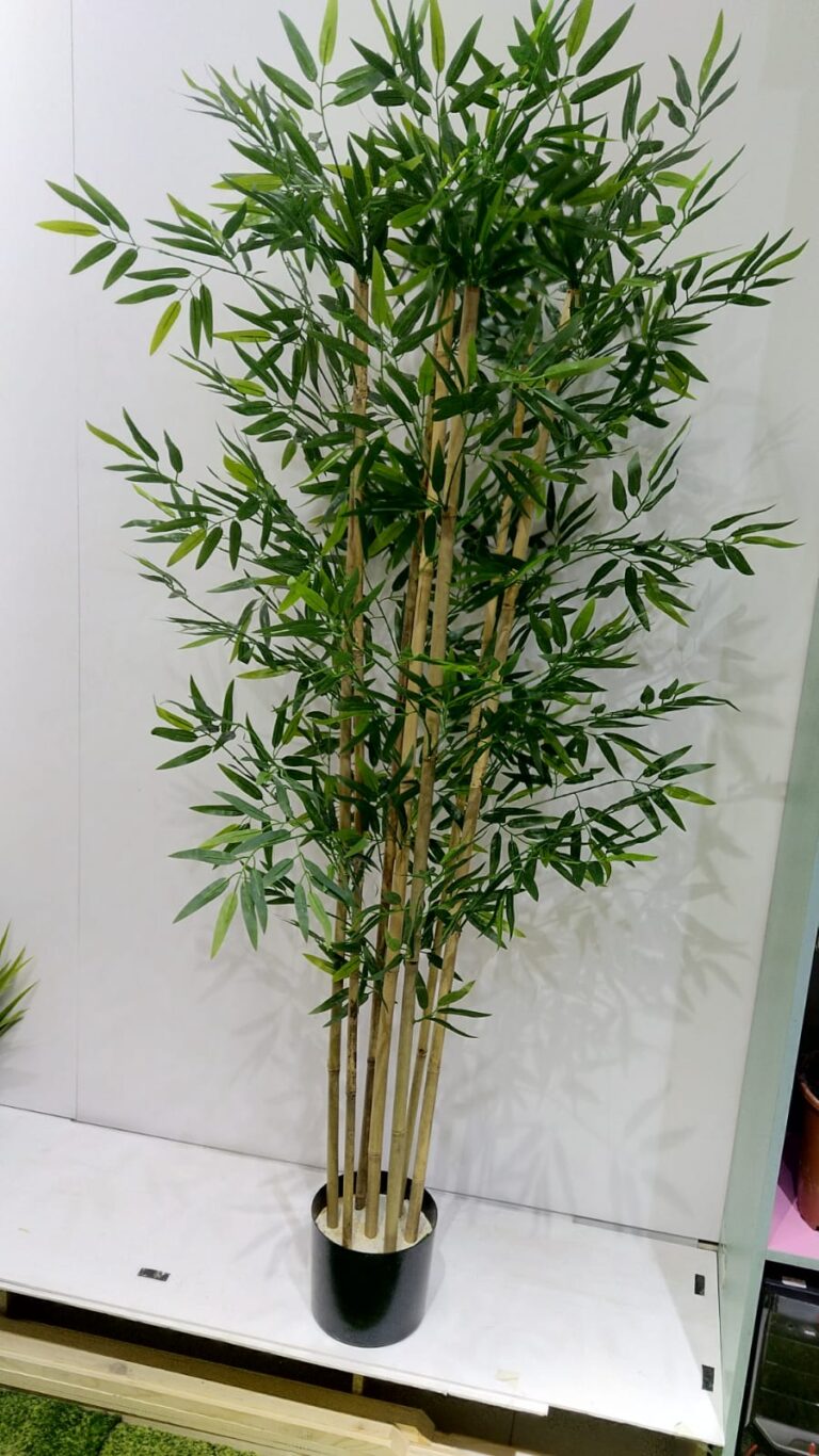 Бамбук 180 см