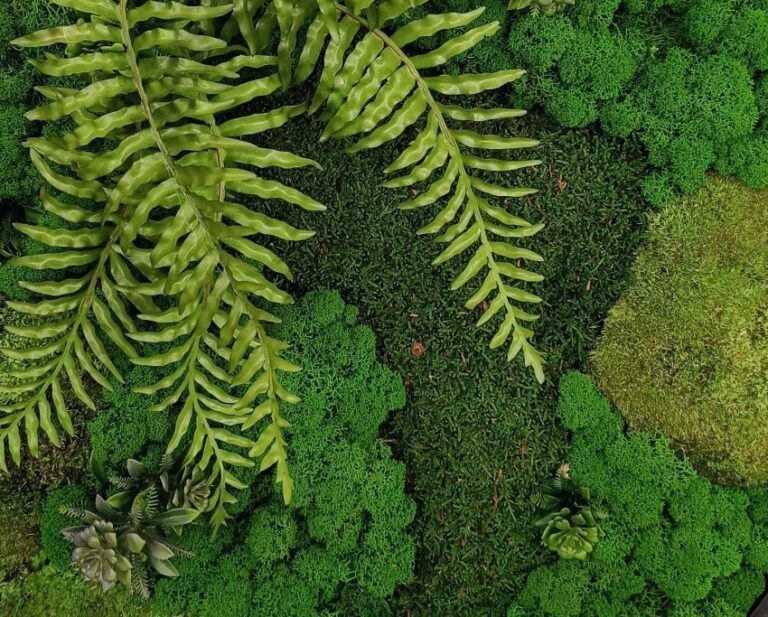 Картина из мха круглая фрагмент