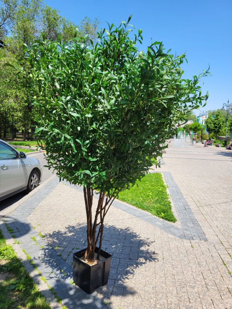 Олива густая 180 см