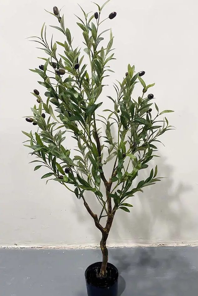 Олива искусств 1