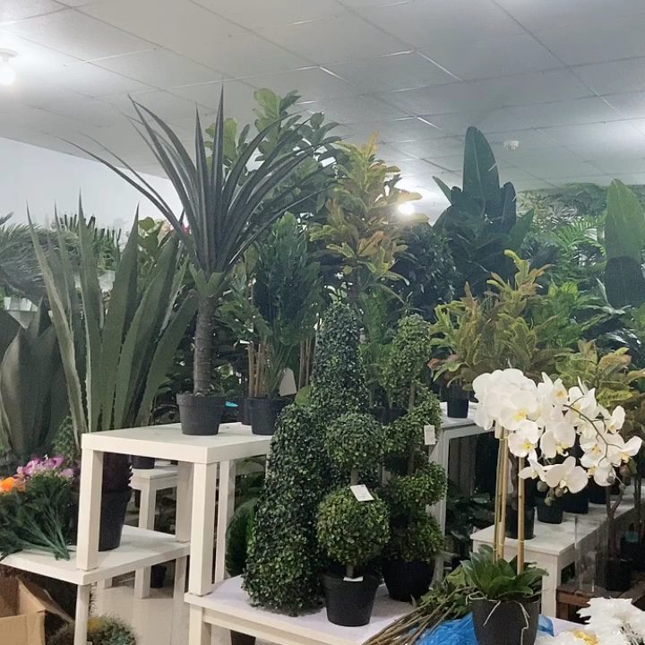 Аренда растений гл 3