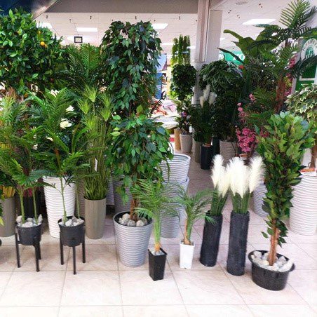 Аренда растений гл 6