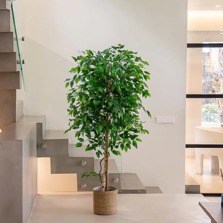 Дерево искусственное фикус бен 2