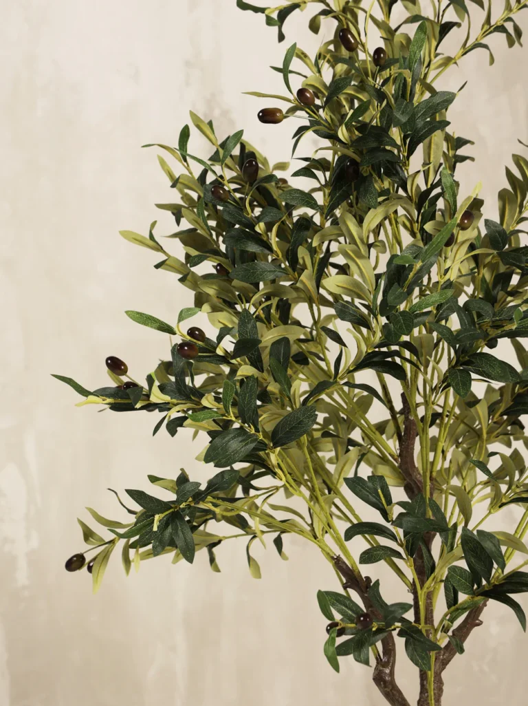 Олива искусств 2