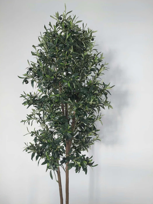 Олива искусств 3