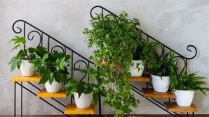 вертикальное озеленение на каркасе