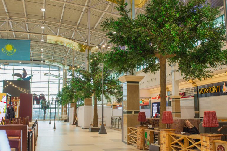 Озеленение ТРЦ деревьями