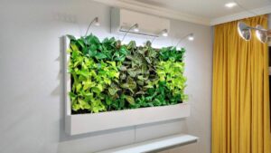 Фитостена Алматы купить