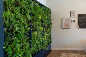 фитостена из живых растений